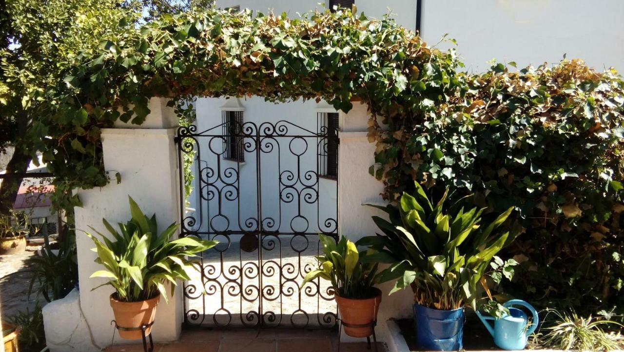 Don Claudio Guest House Grazalema Exterior photo